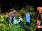 Pengendara Motor Tewas Tertimpa Pohon di Jalan Raya Porong