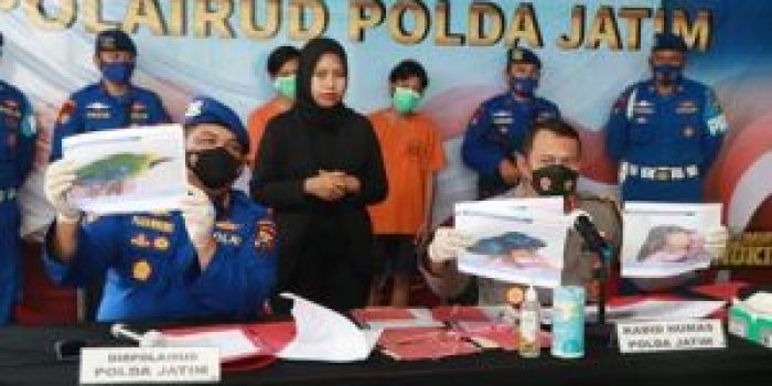 Polda Jatim Gagalkan Penyelundupan dan Perdagangan Satwa Burung Dilindungi