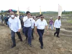 Kunjungi Food Estate, Menko Luhut Pamer Penggunaan Mekanisasi Pertanian di Food Estate