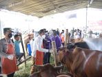 Idul Adha 2022, Pemkab Sidoarjo Menyediakan Lapak Resmi Penjualan Hewan Kurban Bagi Pedagang