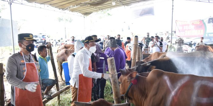 Idul Adha 2022, Pemkab Sidoarjo Menyediakan Lapak Resmi Penjualan Hewan Kurban Bagi Pedagang
