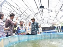 Gus Muhdlor:  Budidaya Lele Jadi Alternatif Pemenuhan Kebutuhan Pangan Keluarga