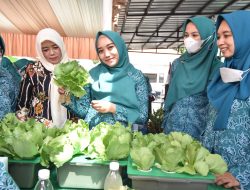Ratusan Anggota PKK Sidoarjo Dilatih Bercocok Tanam Hidroponik