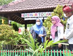 Ketua PKK Sidoarjo Ning Sasha Ajak Masyarakat Memanfaatkan TOGA