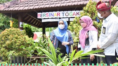 Ketua PKK Sidoarjo Ning Sasha Ajak Masyarakat Memanfaatkan TOGA