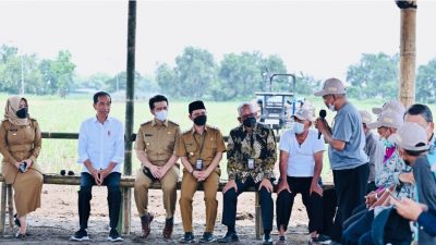 Presiden Jokowi Tinjau Penanaman Tebu di Mojokerto