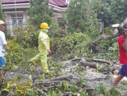 Diterjang Angin Kencang, 36 Rumah Warga Desa Suko Alami Rusak Ringan