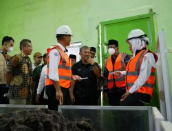 15 Ton Rumput Laut Sidoarjo Diekspor ke Australia