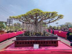 Bupati Gus Muhdlor Dorong Seni Bonsai Jadi Ekonomi Kreatif Unggulan